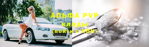 амф Дмитриев