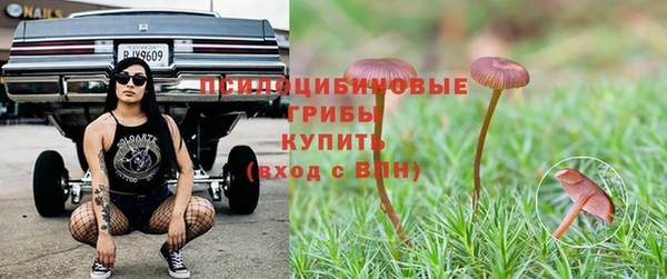 а пвп мука Гусиноозёрск