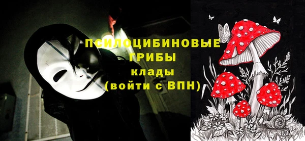 а пвп мука Гусиноозёрск