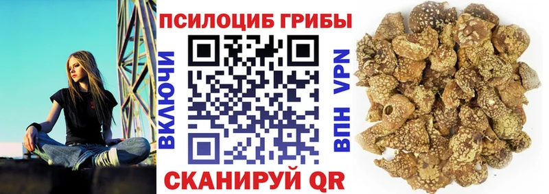 Галлюциногенные грибы Psilocybine cubensis  Далматово 